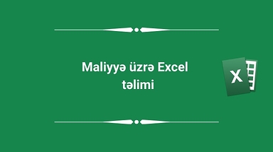 Maliyyə üzrə Excel təlimi